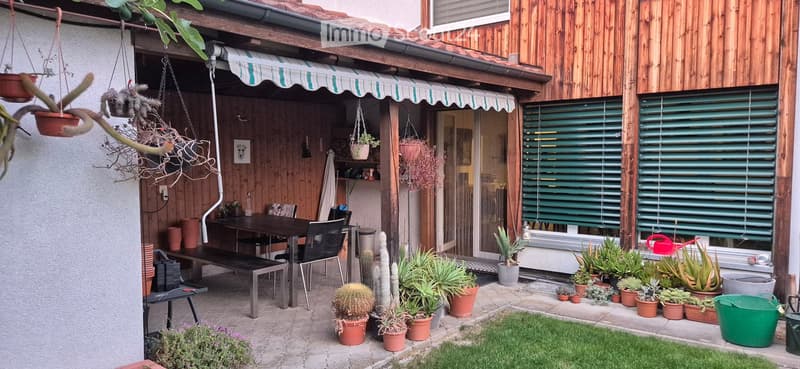 Garden area with wooden deck, dining table, chairs, and numerous potted plants including cacti and succulents. Green shutters on adjacent building.
