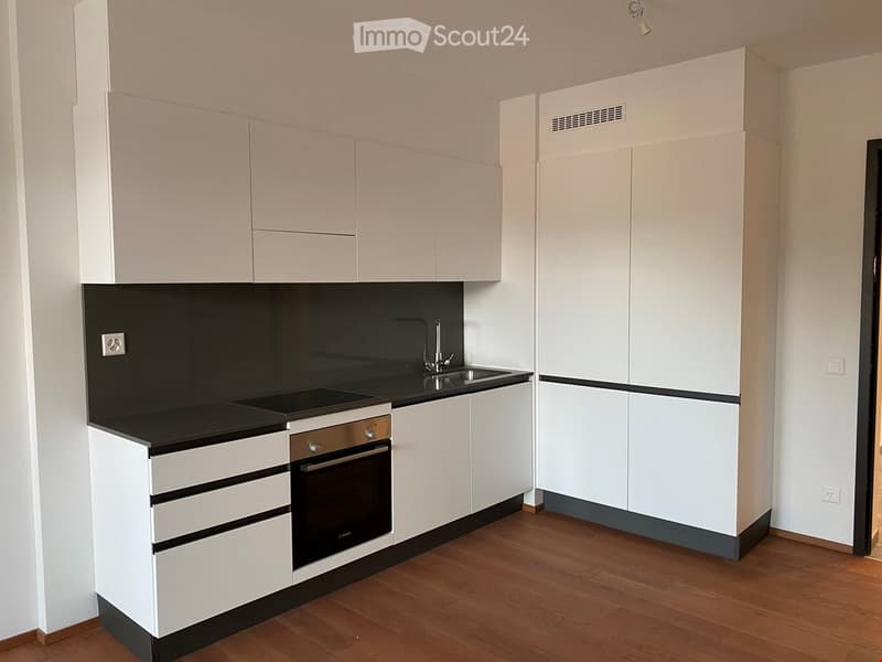 Appartement neu gebaut in der Nähe des Bahnhofs Capolago (3)