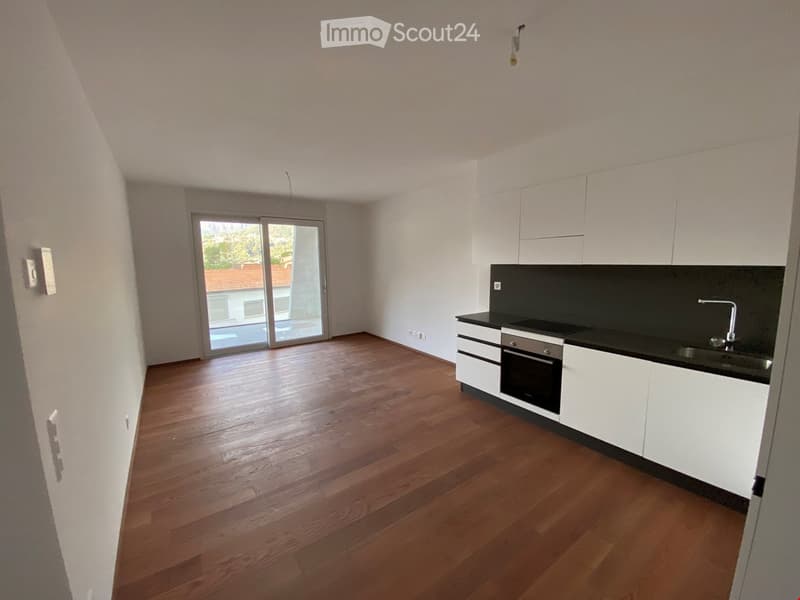 Appartement neu gebaut in der Nähe des Bahnhofs Capolago (12)
