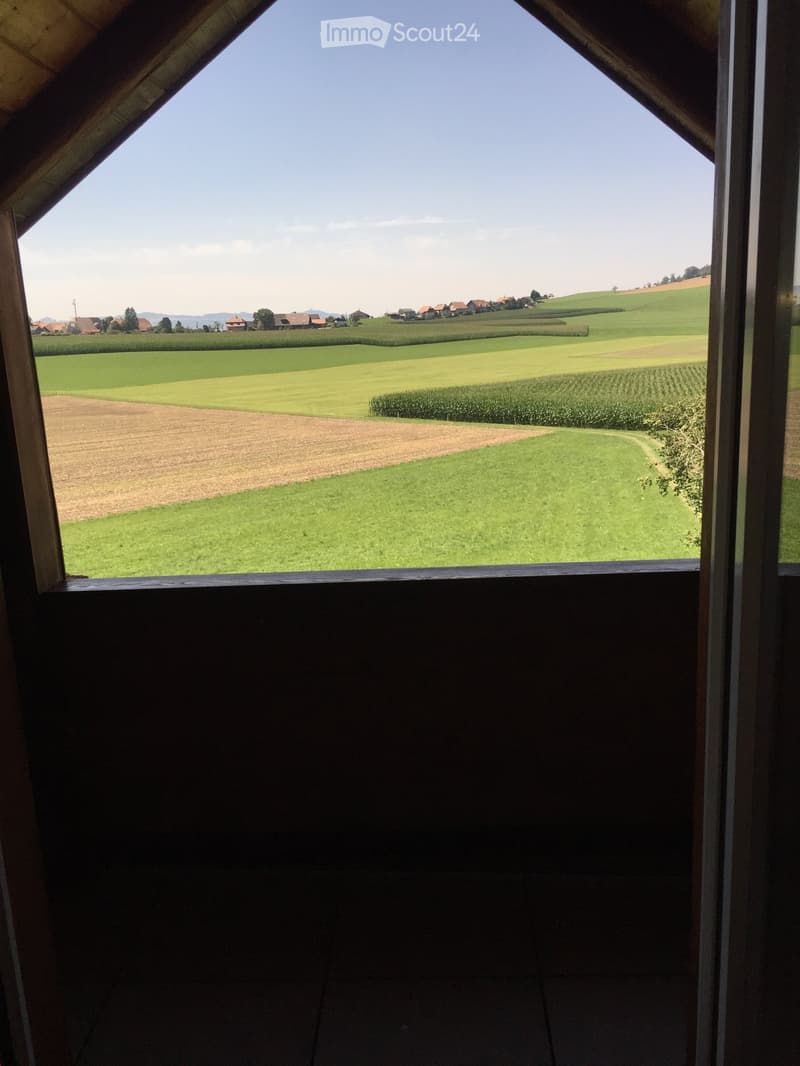 View from a wooden-framed window showing a rural landscape with green fields, corn crops, and scattered houses under a clear blue sky.