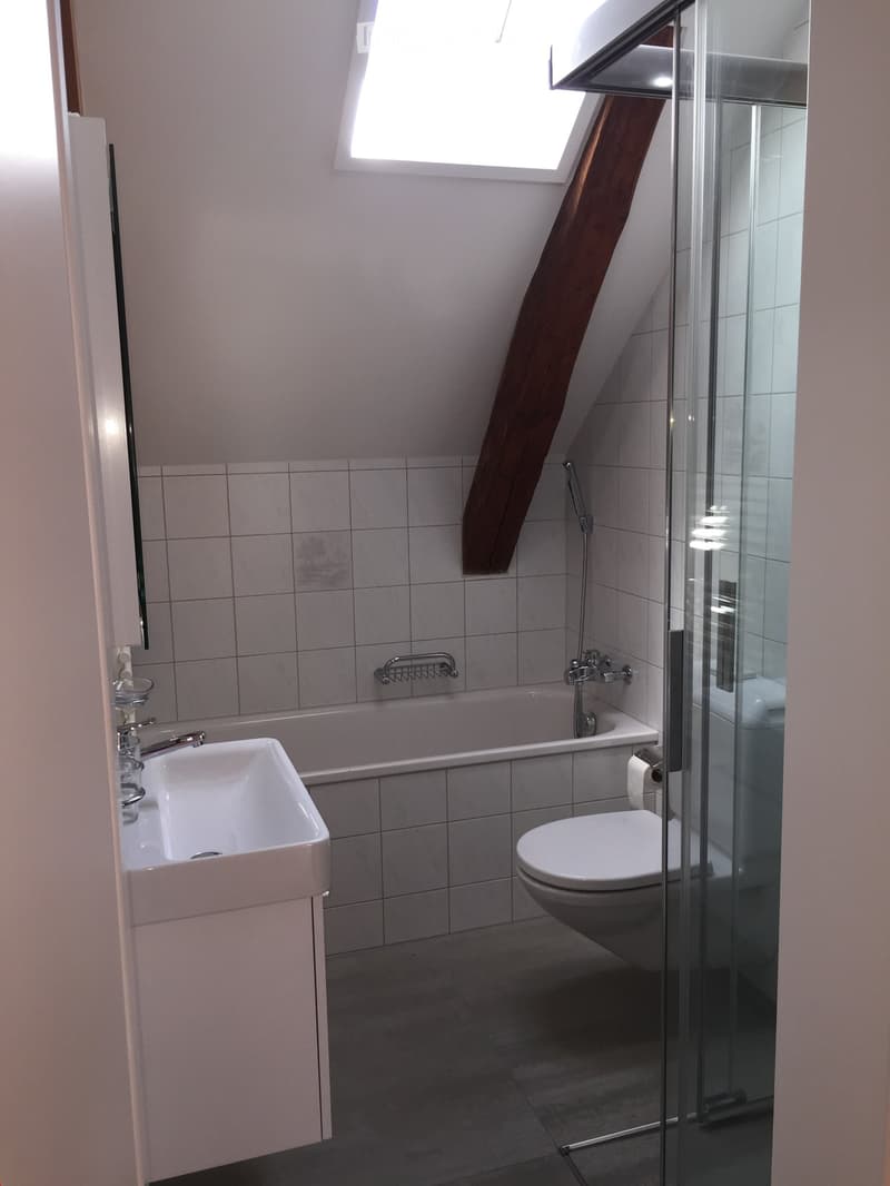 Modern bathroom with a white sink, bathtub, toilet, and glass-enclosed shower. Features a skylight window and tiled walls.