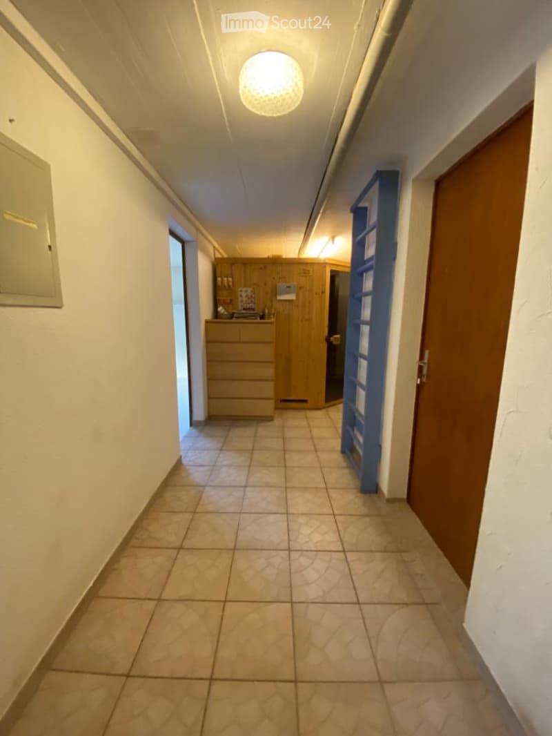A narrow hallway with tiled flooring, white walls, and a ceiling light fixture. A wooden cabinet and a blue ladder are visible on the right side, while a wooden door is on the left.