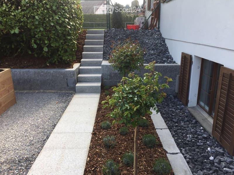 Garden area with raised concrete steps leading to a pathway, small tree, shrubs, and gravel beds.