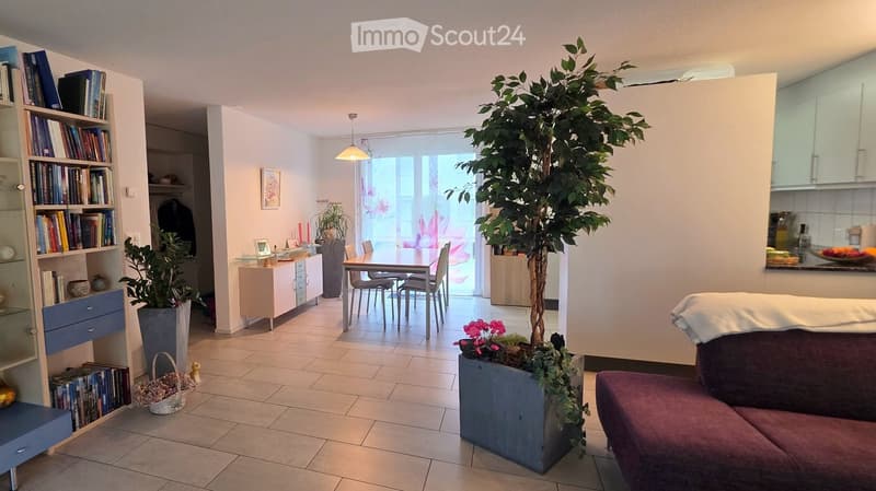 Bright living and dining area with a sofa, bookshelf, dining table, chairs, and potted plants. The space features a modern kitchen area with cabinets and a countertop.