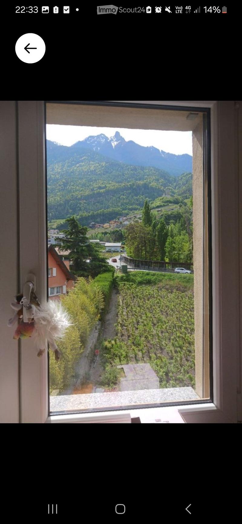 View from a window showing a vineyard, a road, and distant mountains.