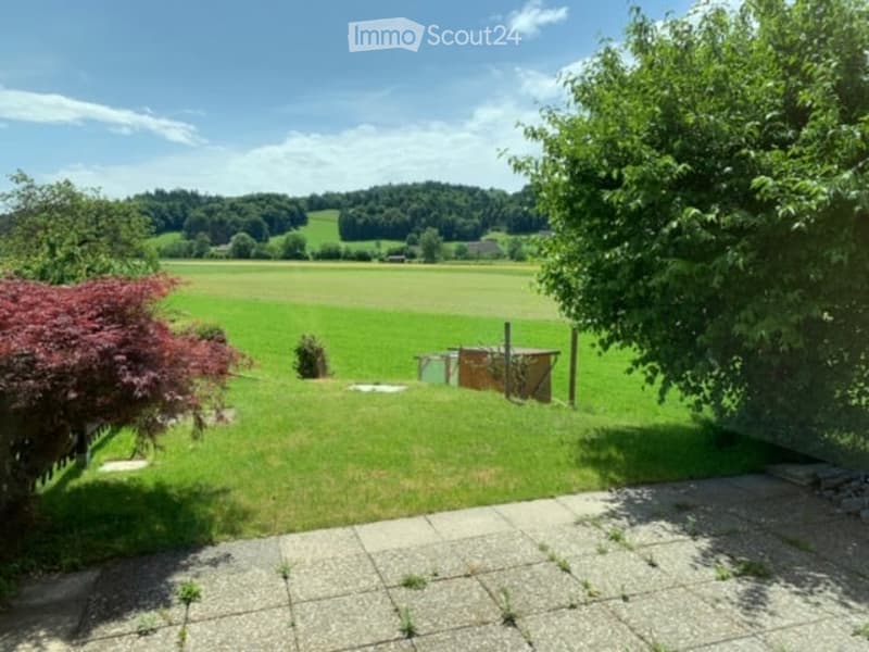 Well-maintained garden with green lawn, trees, and a small wooden shed.