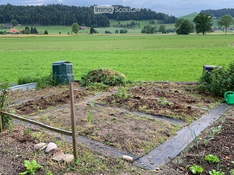 A well-maintained garden area with raised beds, a compost pile, and a green watering can. The background features a lush green field and distant trees.
