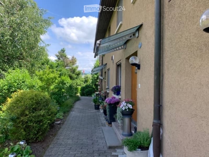 A narrow brick pathway lined with potted plants and flowers leads to a house entrance, surrounded by lush greenery and trees.