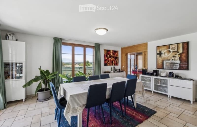 Bright dining room with large windows, a white dining table with six chairs, a colorful area rug, a potted plant, and modern white cabinets.