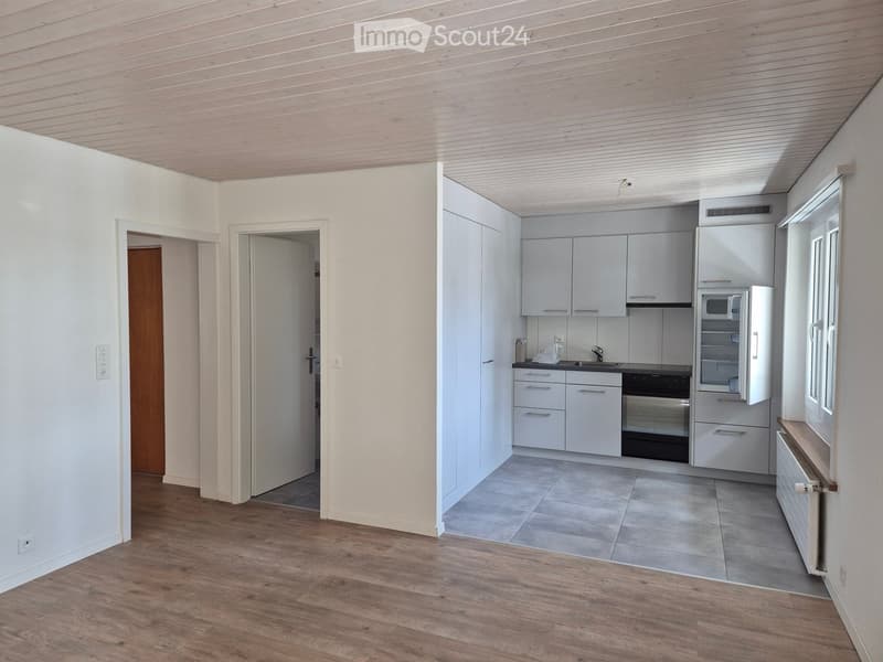Modern kitchen with white cabinets, stainless steel appliances, and wooden flooring.