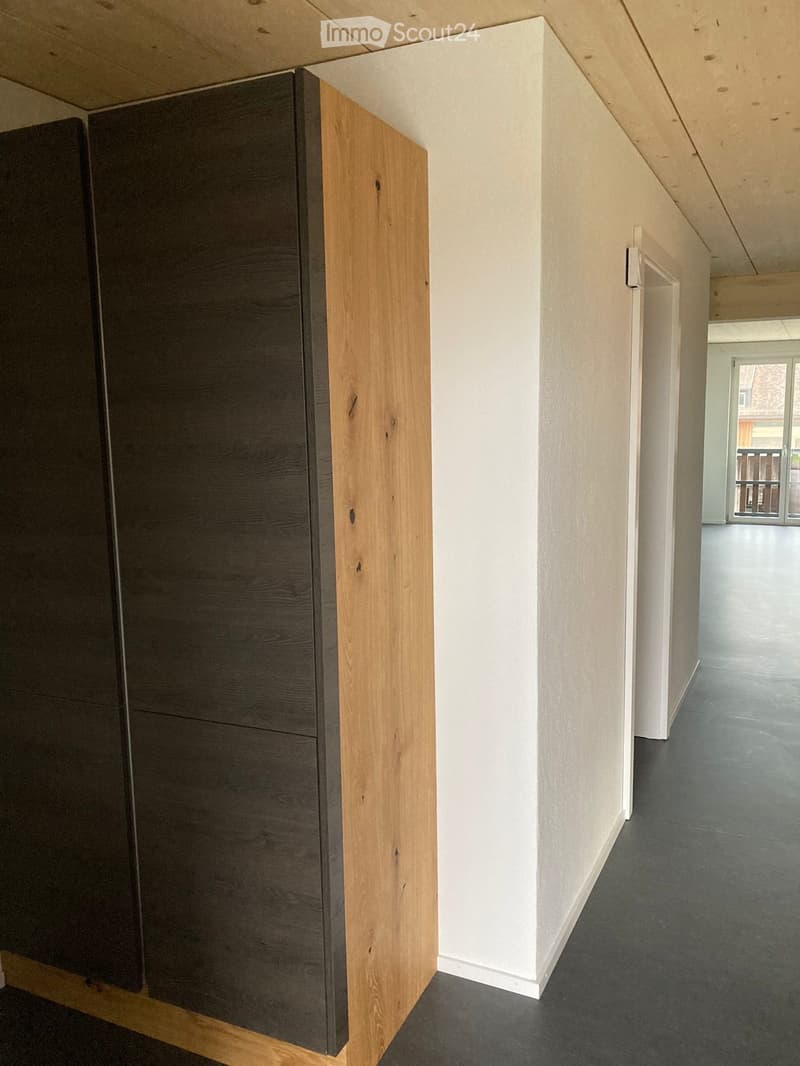 Modern hallway with sleek wooden and dark paneling, grey flooring, and a visible door leading to another room.