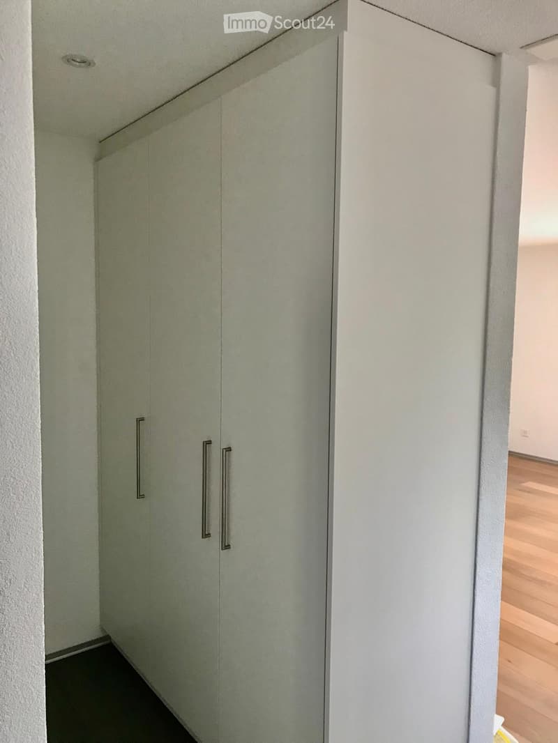 A narrow hallway with light-colored walls and a dark floor, featuring built-in storage cabinets with silver handles on the left side.