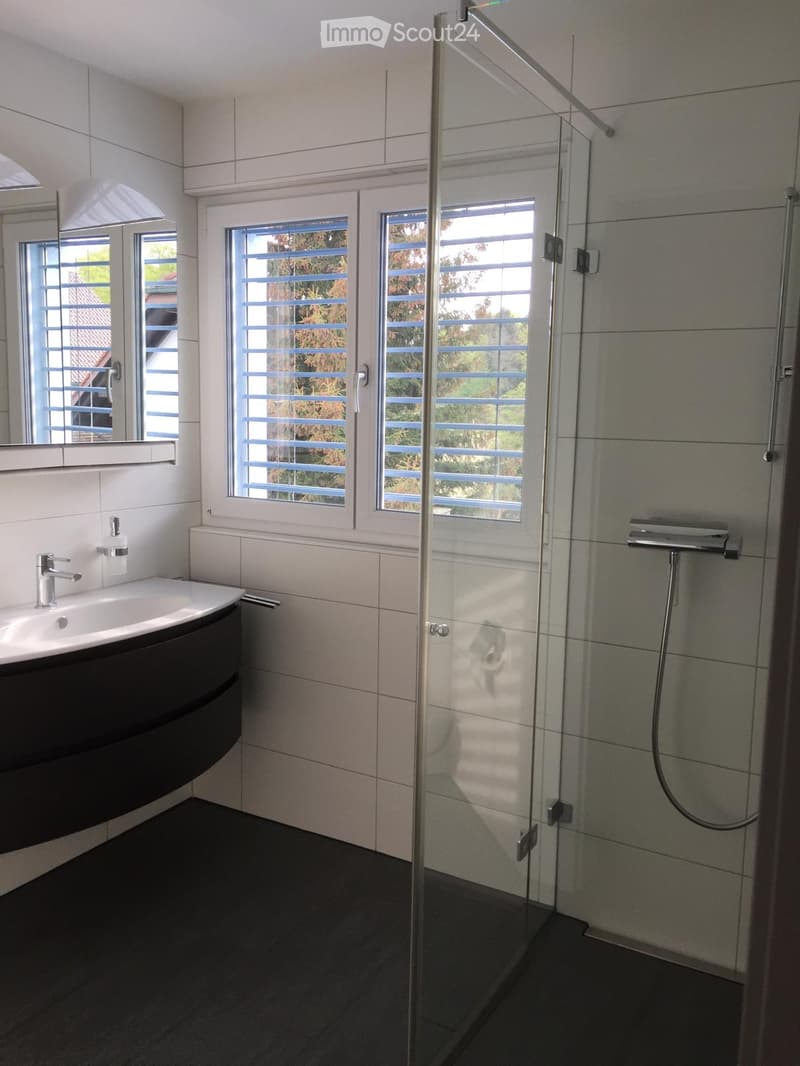 Modern bathroom with a white sink, chrome faucet, large mirror, and a glass-enclosed shower with a modern shower handle.
