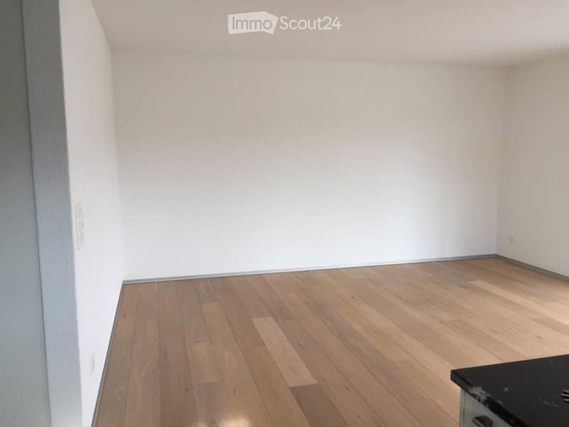 Empty room with light wooden flooring and white walls, featuring a small black countertop in the corner.