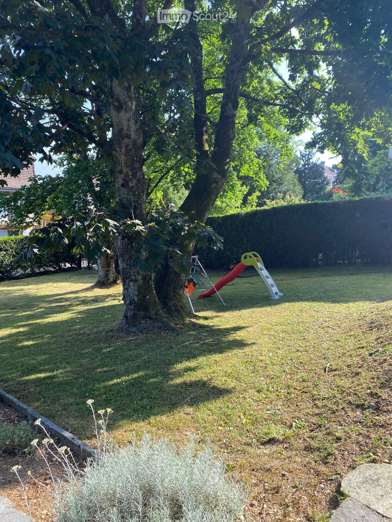 A well-maintained garden with a large tree, a slide, and a small climbing frame, surrounded by a hedge and other greenery.
