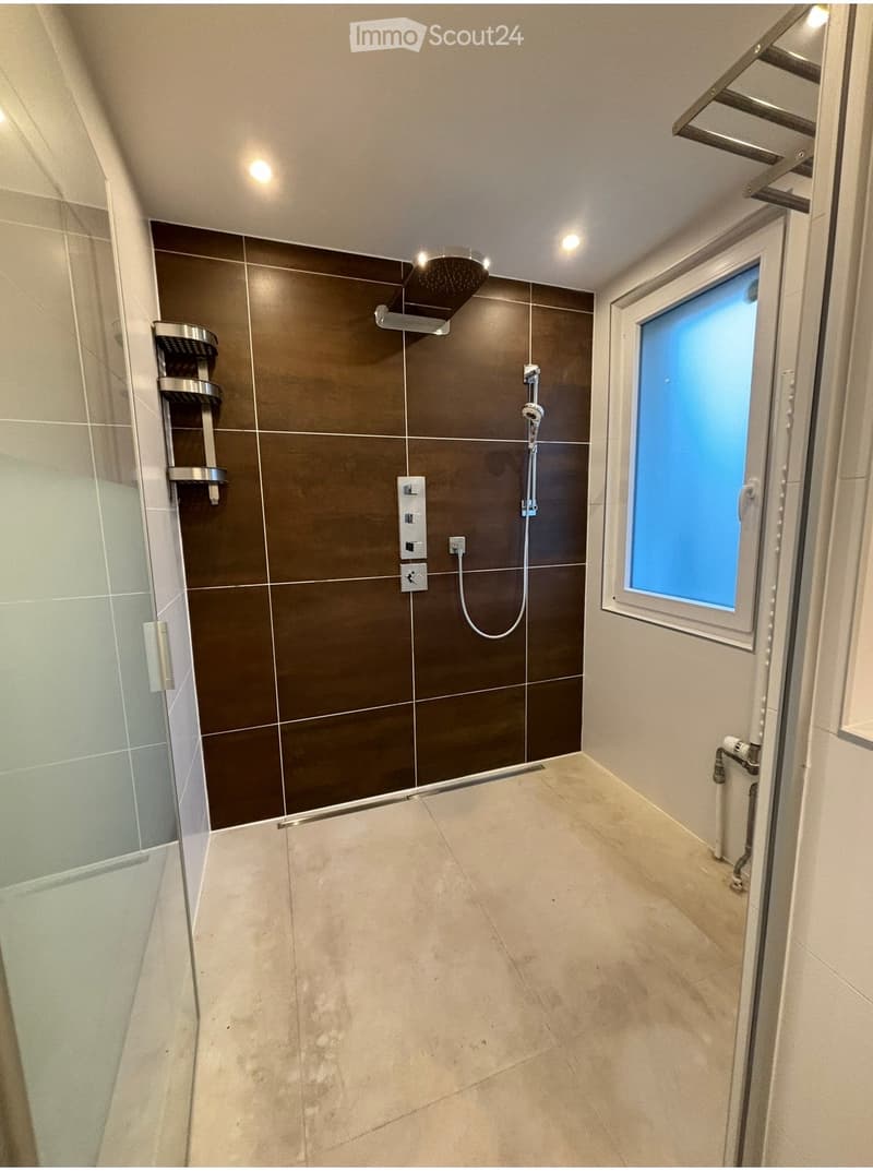 Modern bathroom with dark brown tiles, a glass shower enclosure, a built-in shower shelf, and a window with frosted glass.