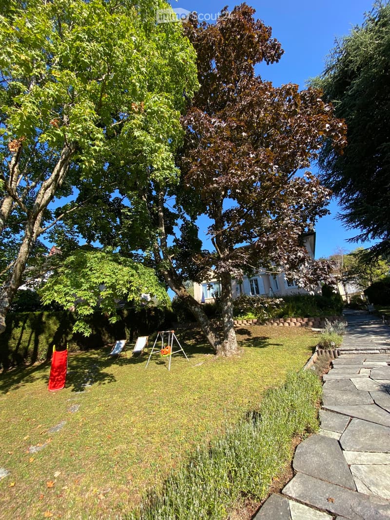 Well-maintained garden with a large tree, lawn, stone pathway, and a swing set.