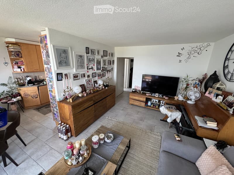 A cozy living room with a grey sofa, wooden coffee table, TV, and various decorative items. The space includes a kitchen area with cabinets and a counter.