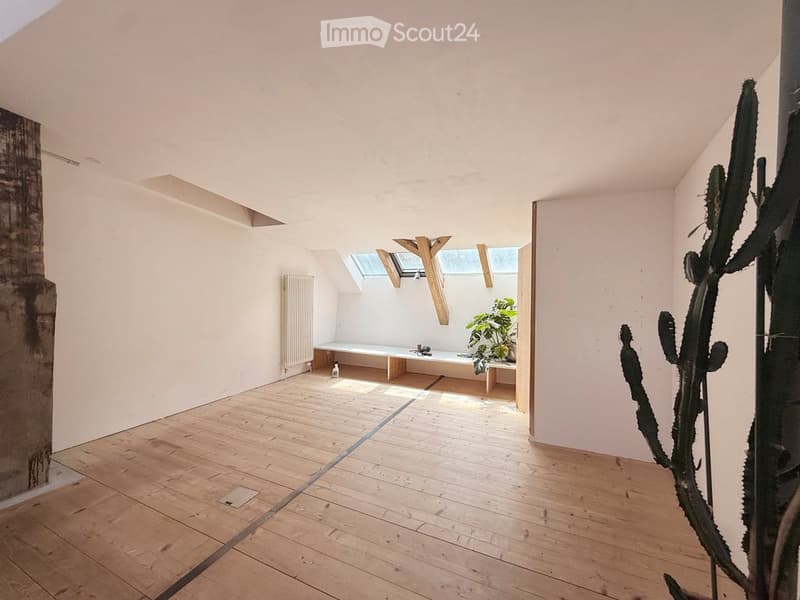 Empty room with wooden flooring, white walls, and skylight windows allowing natural light. A small bench and a plant are visible, but no furniture or major furnishings are present.