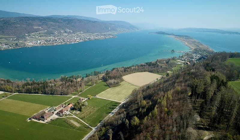 Aerial view of a rural area with fields, a small farm, and a large body of water in the background.