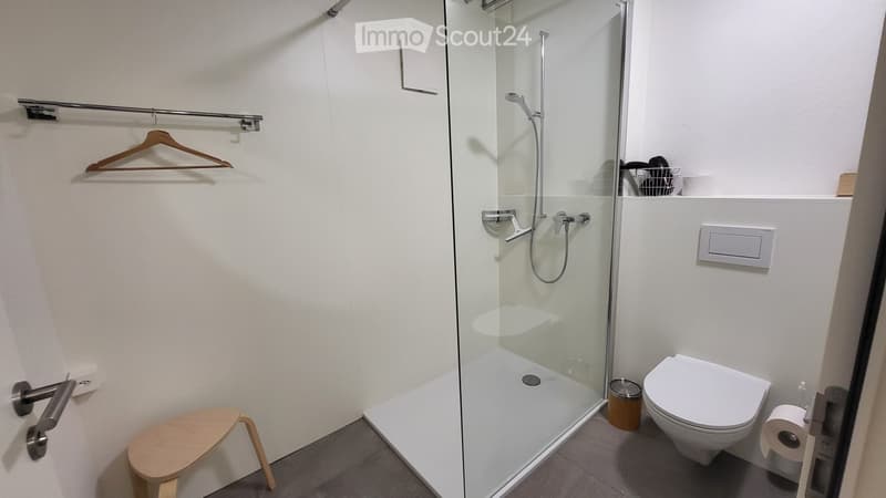 Modern bathroom with a glass-enclosed shower, toilet, small wooden stool, and a hanger on the wall.