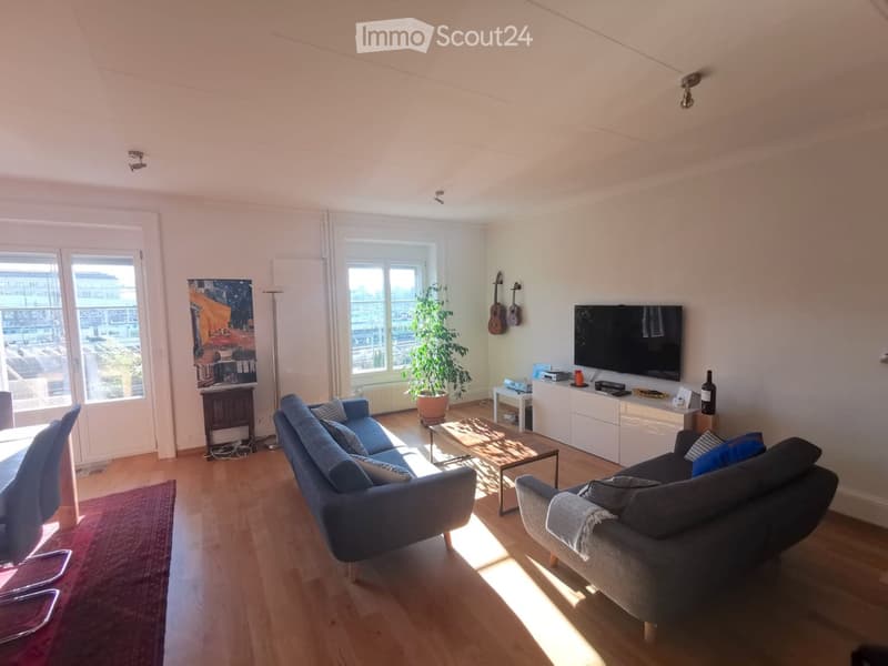 Bright living room with wooden flooring, large windows, two sofas, coffee table, TV, and a potted plant.