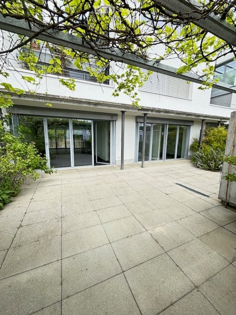 A modern outdoor patio area with large glass sliding doors leading to a white building, surrounded by greenery and trees.