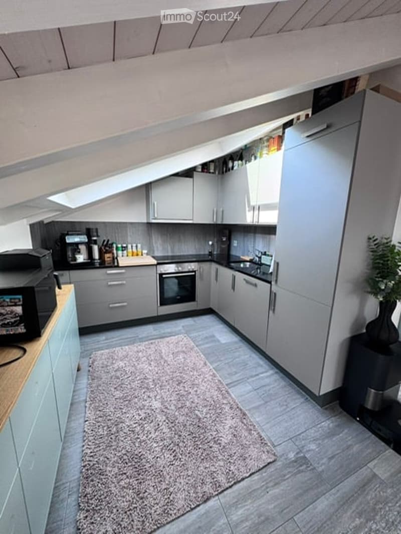 Modern kitchen with grey cabinets, stainless steel appliances, a microwave, coffee maker, and a small plant on a stand. The space features a grey carpet and a skylight above.