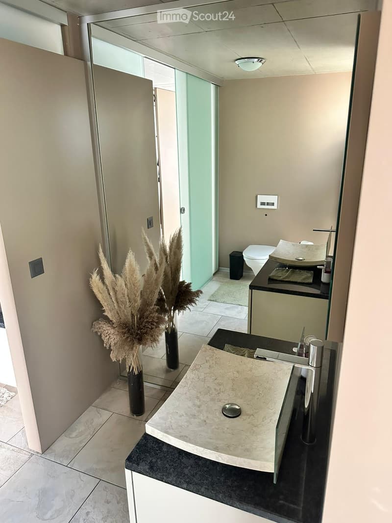 Modern bathroom with marble sink, chrome faucet, toilet, and decorative vase with dried plants. Features a glass shower enclosure and recessed lighting.