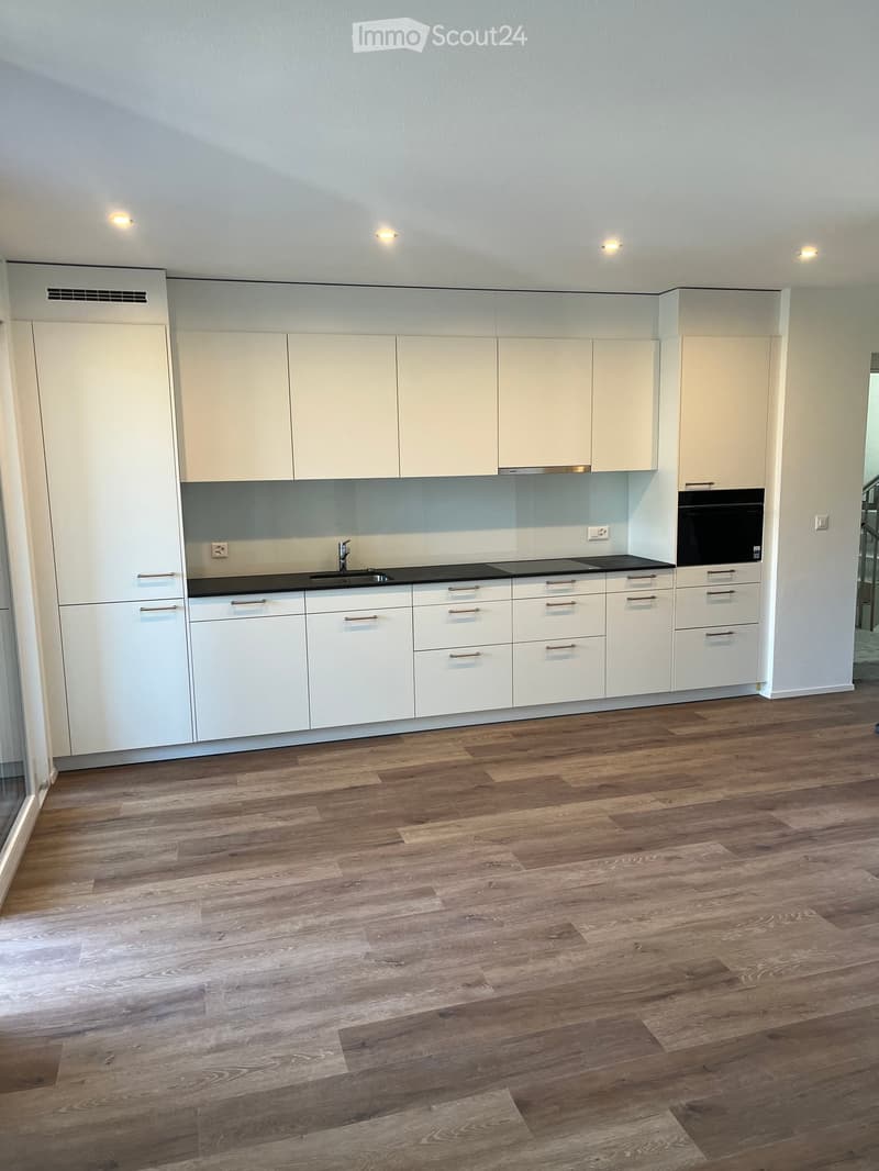 modern kitchen with white cabinets, black countertops, stainless steel sink, built-in oven, dishwasher, wooden floor