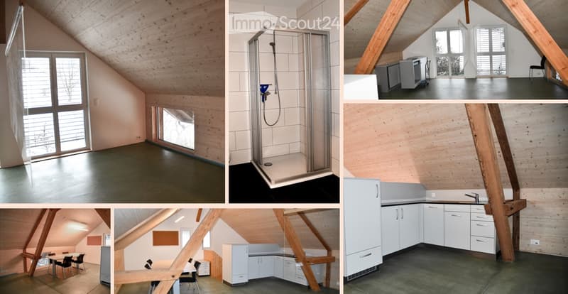 Layout includes a living space, kitchen, bathroom, and dining area with exposed wooden beams and large windows.