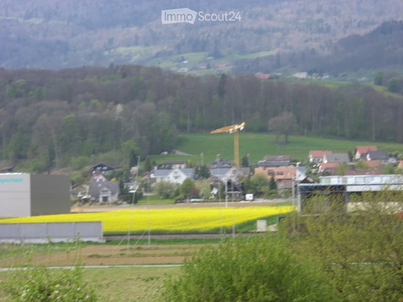 A rural village with scattered houses, green fields, and a construction crane in the distance, surrounded by hills and trees.