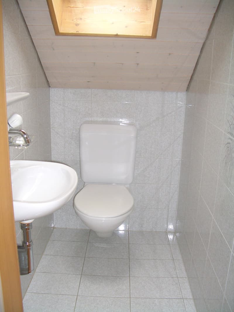 Small bathroom with a toilet, sink, and faucet, featuring tiled walls and floor and a skylight window above.