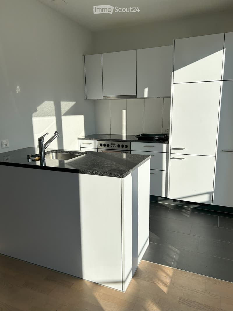 Kitchen. Modern kitchen with white cabinets, stainless steel sink, and oven. Granite countertop and wooden flooring.