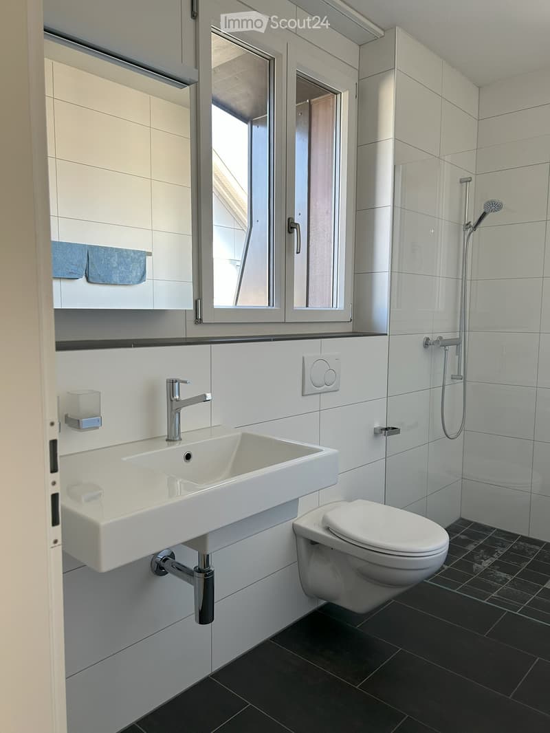 Bathroom. Modern bathroom with white tiles, a white sink with a chrome faucet, a toilet, a shower with a handheld sprayer, and a large mirror above the sink. Blue towels are visible on a shelf.