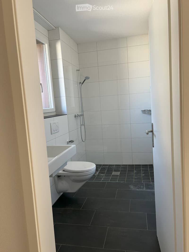 Bathroom. Modern bathroom with white tiles, black floor tiles, toilet, sink, and glass-enclosed shower area.