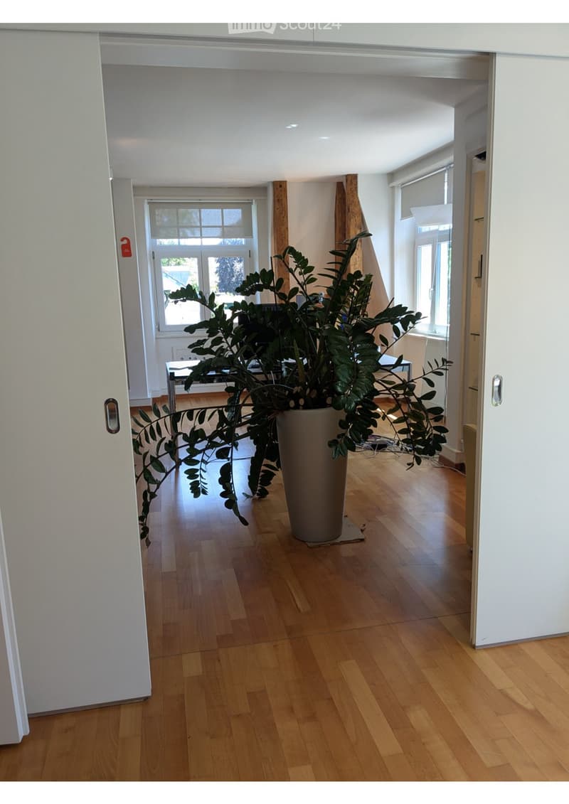 Empty room with wooden flooring, white walls, and large windows. A large potted plant is placed in the center of the room.