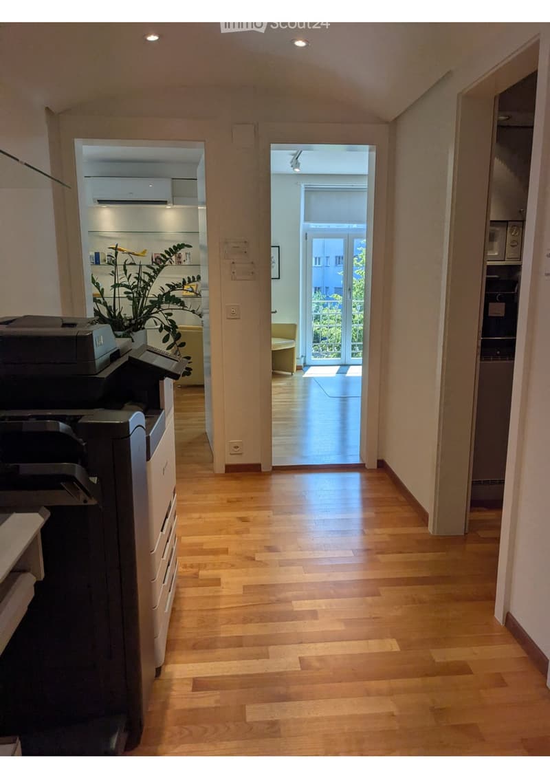 Bright hallway with wooden flooring, leading to a kitchen and a living area with a view of the outdoors.