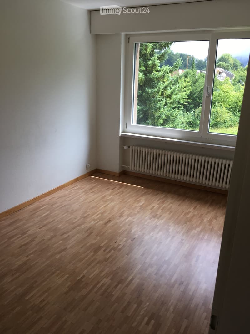Empty room with wooden flooring, white walls, large window offering a view of greenery, and a radiator below the window.