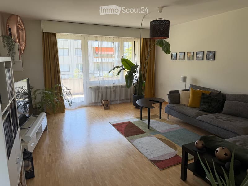 Modern living room with wooden flooring, large windows, a grey sofa with colorful cushions, a coffee table, a TV stand, and decorative plants.