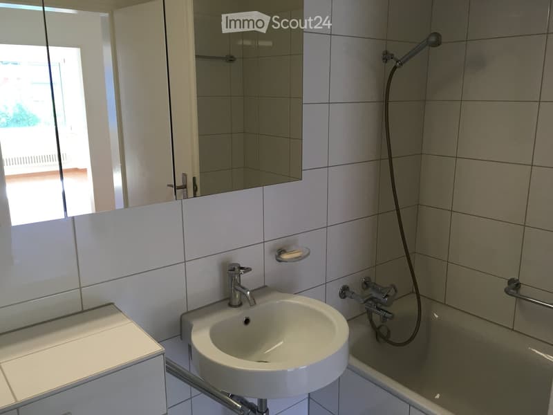 Modern bathroom with a white sink, chrome faucet, bathtub with handheld shower, and a large mirror above the sink.