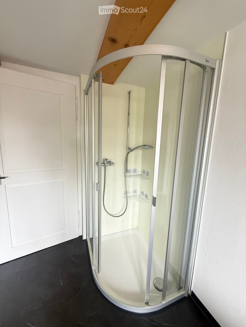 Modern bathroom with a corner shower stall, glass enclosure, and sleek fixtures.