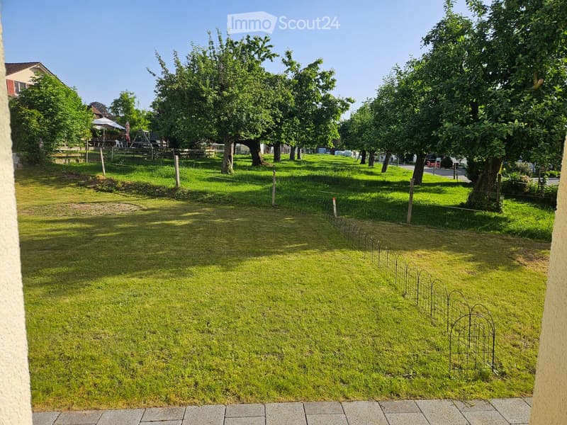Well-maintained lawn with a decorative metal fence, trees, and a small seating area in the background.
