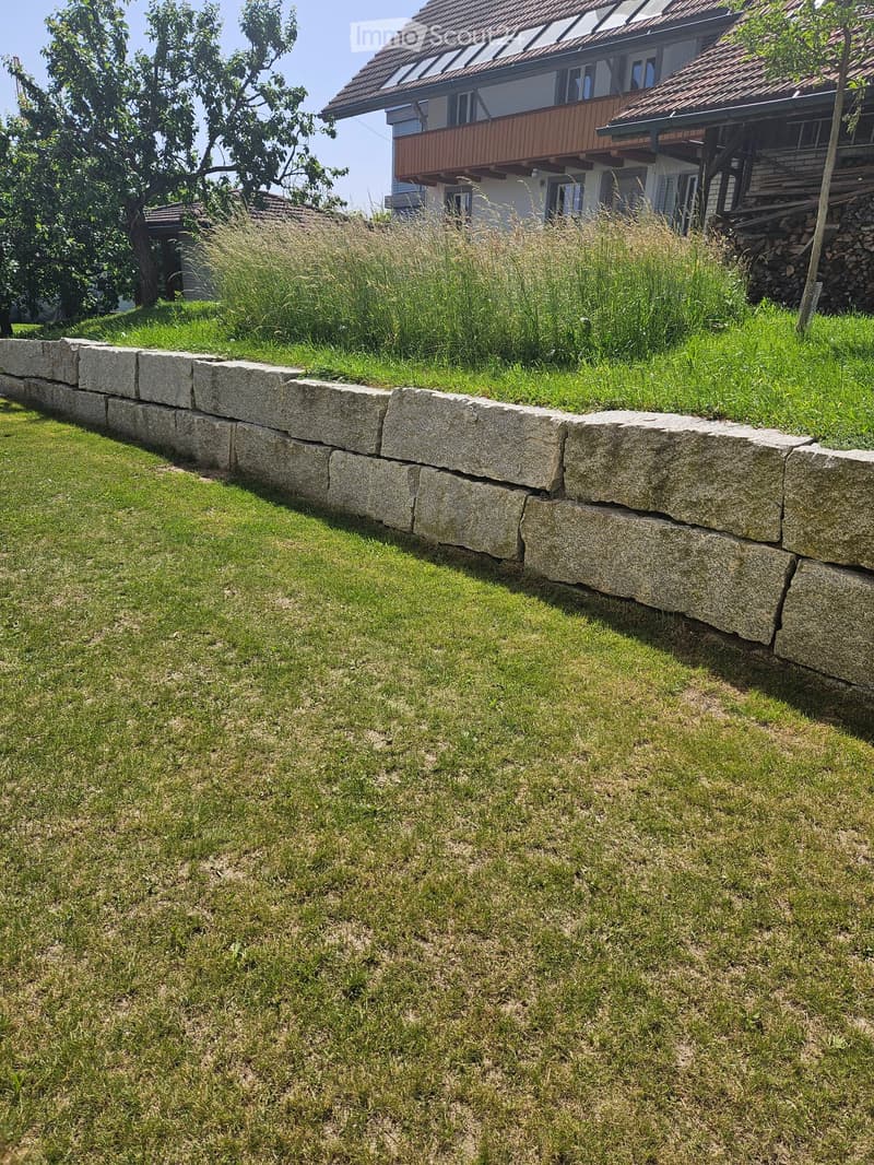 Lush green lawn bordered by a stone retaining wall, with a wooden house and trees visible in the background.