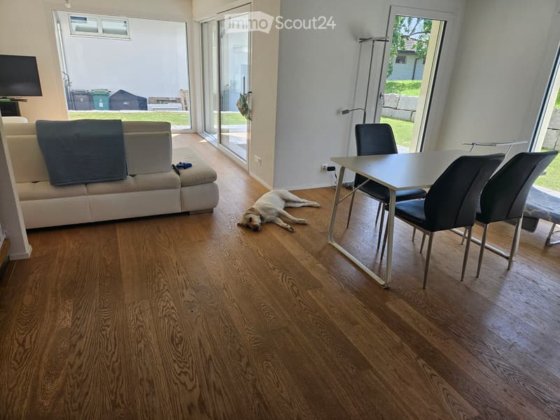 Living room with wooden flooring, a sofa, a dining table with chairs, and a dog lying on the floor. Large windows and sliding doors lead to an outdoor area.