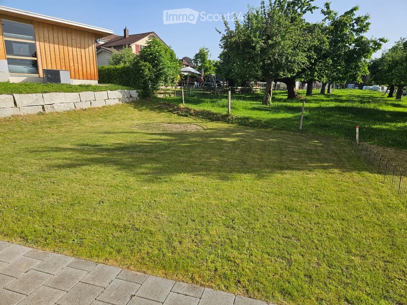 Well-maintained lawn with a raised stone border, a small fence, and a modern house with wooden siding visible in the background.
