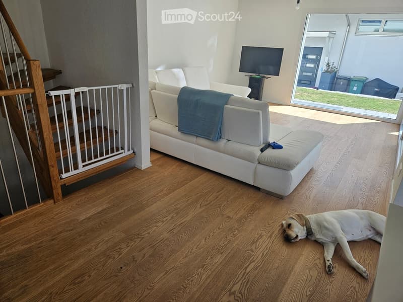 Living room with a white sofa, a blue blanket, a remote control, a television, and a dog lying on the floor. The room features wooden flooring and a staircase with a safety gate.