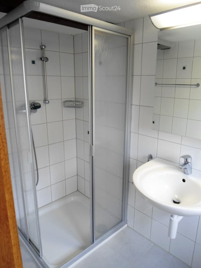 Modern bathroom with a glass-enclosed shower stall, a white sink with a chrome faucet, and a mirror above the sink.