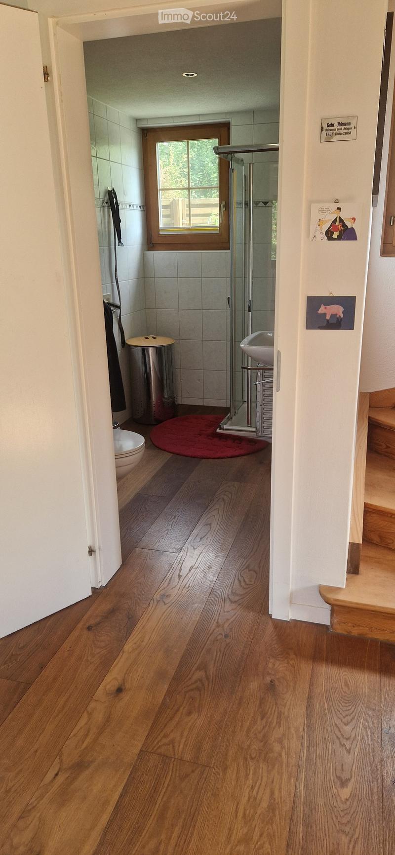 Hallway with wooden flooring, leading to a bathroom area with a toilet, sink, and shower stall. Features a red bath mat and a trash bin.