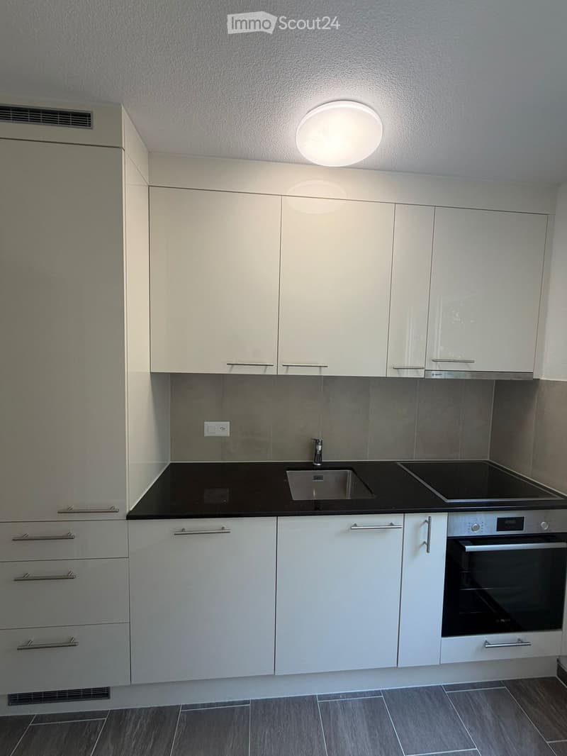 Modern kitchen with white cabinets, black countertop, stainless steel sink, and built-in oven.